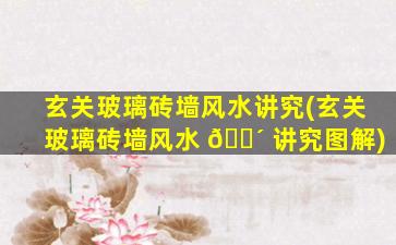 玄关玻璃砖墙风水讲究(玄关玻璃砖墙风水 🐴 讲究图解)